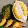 Sầu riêng Musang King Malaysia