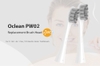 bo-2-dau-ban-chai-thay-the-oclean-pw02-2-chiec-dung-cho-ban-chai-dien-oclean-min