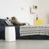 may-hut-am-new-widetech-18l-hut-am-hang-nhiet-ket-noi-wifi-app-mi-home-tren-dien