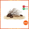 bo-canh-quan-tieu-canh-go-chet-gia-phong-cach-nam-my-trang-tri-be-ca-thong-minh-
