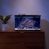 be-ca-thong-minh-xiaomi-mijia-smart-fish-tank-myg100-20l-ket-noi-app-mihome-tich
