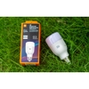 bong-den-led-nhieu-mau-thong-minh-xiaomi-bulb-essential-mjdpl01yl-quoc-te-minh-t