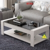ban-tra-ban-sofa-phong-cach-hien-dai-noi-that-lap-rap-viendong-adv