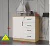 tu-ho-so-van-phong-tu-tai-lieu-thap-go-mdf-tvp401a-noi-that-lap-rap-viendongadv