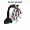 bộ dây chức năng ic DKYS