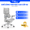 Ghế Công Thái Học Cao Cấp AU (Doro S300)