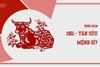 Sinh năm 1961 mệnh gì ? hợp màu nào ?