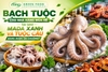 Bạch Tuộc Cho Nhà Hàng Mùa Hè: Vì Sao Mada Xanh Và Tuộc Câu Đang Được Ưa Chuộng?