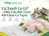 Cá Tuyết Là Gì? 5 Điều Cần Biết Trước Khi Chọn Cá Tuyết