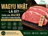 Wagyu Nhật Là Gì? Phân Loại Và Cách Chọn Nguồn Nhập Khẩu Sỉ Cho Nhà Hàng
