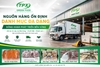 Cơ Hội Trở Thành Đại Lý Phân Phối Thực Phẩm Nhập Khẩu Cùng Thực Phẩm Xanh