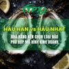 Hàu Nhật vs Hàu Hàn Nhập Khẩu: Khác Nhau Ở Đâu và Nhà Hàng Nên Chọn Loại Nào?