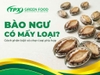 Bào Ngư Có Mấy Loại? Giải Đáp Từ A–Z Cách Phân Biệt Và Lựa Chọn