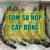 Tôm Sú Hộp Đông Lạnh: Lựa Chọn Tối Ưu Cho Nhà Hàng, Buffet Và Đại Lý Hải Sản 2026