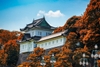 [2025] NHẬT BẢN MÙA THU 6N5Đ VN OSAKA – KYOTO – NÚI PHÚ SĨ – TOKYO