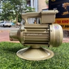 Đầm Dùi Điện 1.1Kw/220V Toàn Phát 2900 Vòng/ Phút