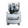 Máy Nén Khí Không Dầu Giảm Âm Pegalion 40L TM-OF550-40L