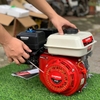 Động Cơ Chạy Xăng Champion 7.5HP CP-230