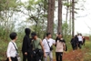 Tour Leo Núi (Trekking)
