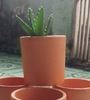 Chậu Nâu Trụ Nhỏ 8,5x8,5cm