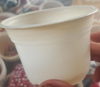 Combo 50 chậu ươm