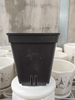 Chậu nhựa vuông đen 9x9