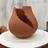 Chum Cắt Mini