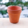 Chậu Nâu Nhỏ Cao 7,5x8,5cm