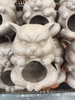 Chậu Đất Cọp Nằm