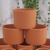 Chậu Nâu Trụ Lớn 13,5x9,5cm
