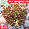 Nhật Nguyệt 70K