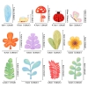 SCG Cây cỏ mẫu 13 chi tiết