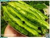Đậu rồng