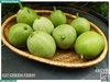 Dưa hấu non
