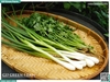 Rau nêm hành ngò 100g