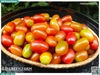 Cà chua bi (cherry) Vip