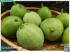 Dưa hấu non