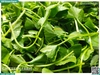 Rau má lá nhỏ (rau má ta) 300g