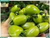 Cà chua cherry ngọc bích