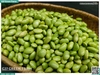 Hạt đậu nành lông Nhật tươi