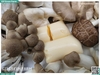 Combo nấm mix đậu hũ trứng