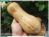 Bí đỏ hồ lô