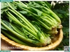 Cải bó xôi 300g