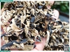 Nấm mèo (mộc nhĩ) khô cắt sợi 50g