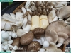 Combo nấm mix đậu hũ trứng