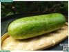 Bí đao xanh
