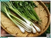 Rau nêm hành ngò