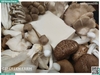 Combo nấm mix đậu hũ non