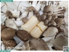 Combo nấm mix đậu hũ trứng