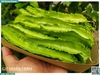 Đậu rồng